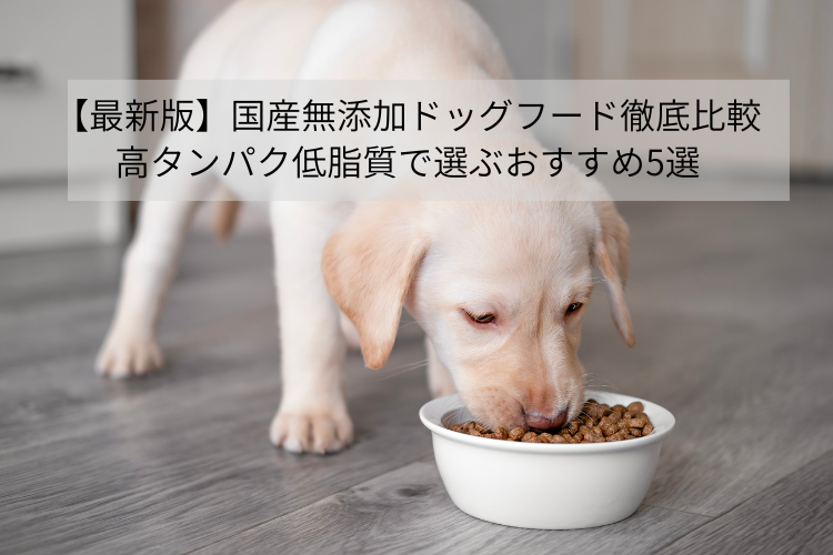 【最新版】国産無添加ドッグフード徹底比較|高タンパク低脂質で選ぶおすすめ5選