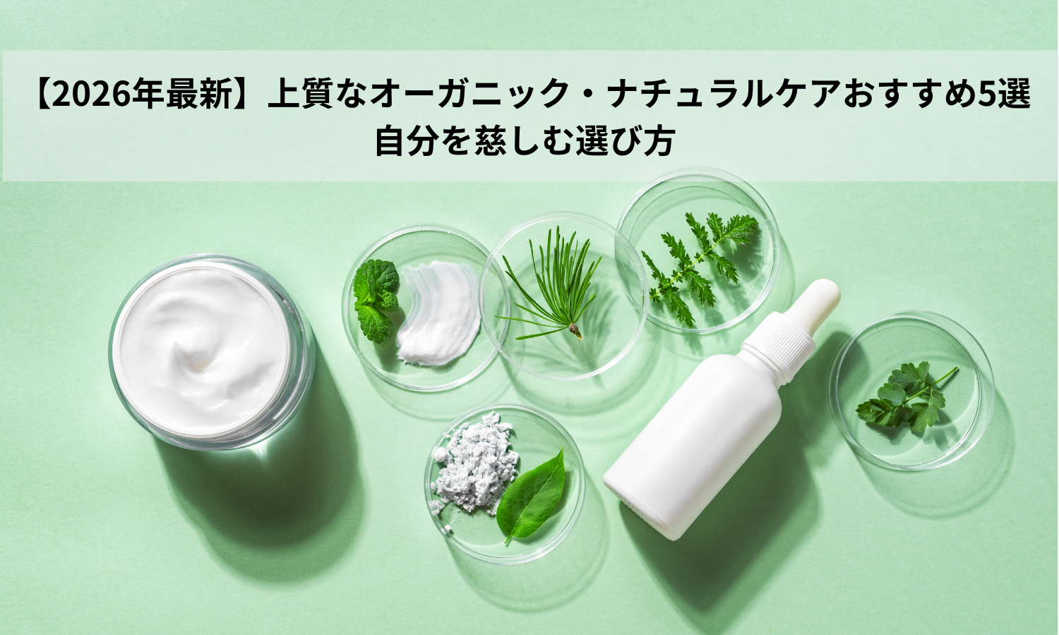 【2026年最新】上質なオーガニック・ナチュラルケアおすすめ5選｜自分を慈しむ選び方